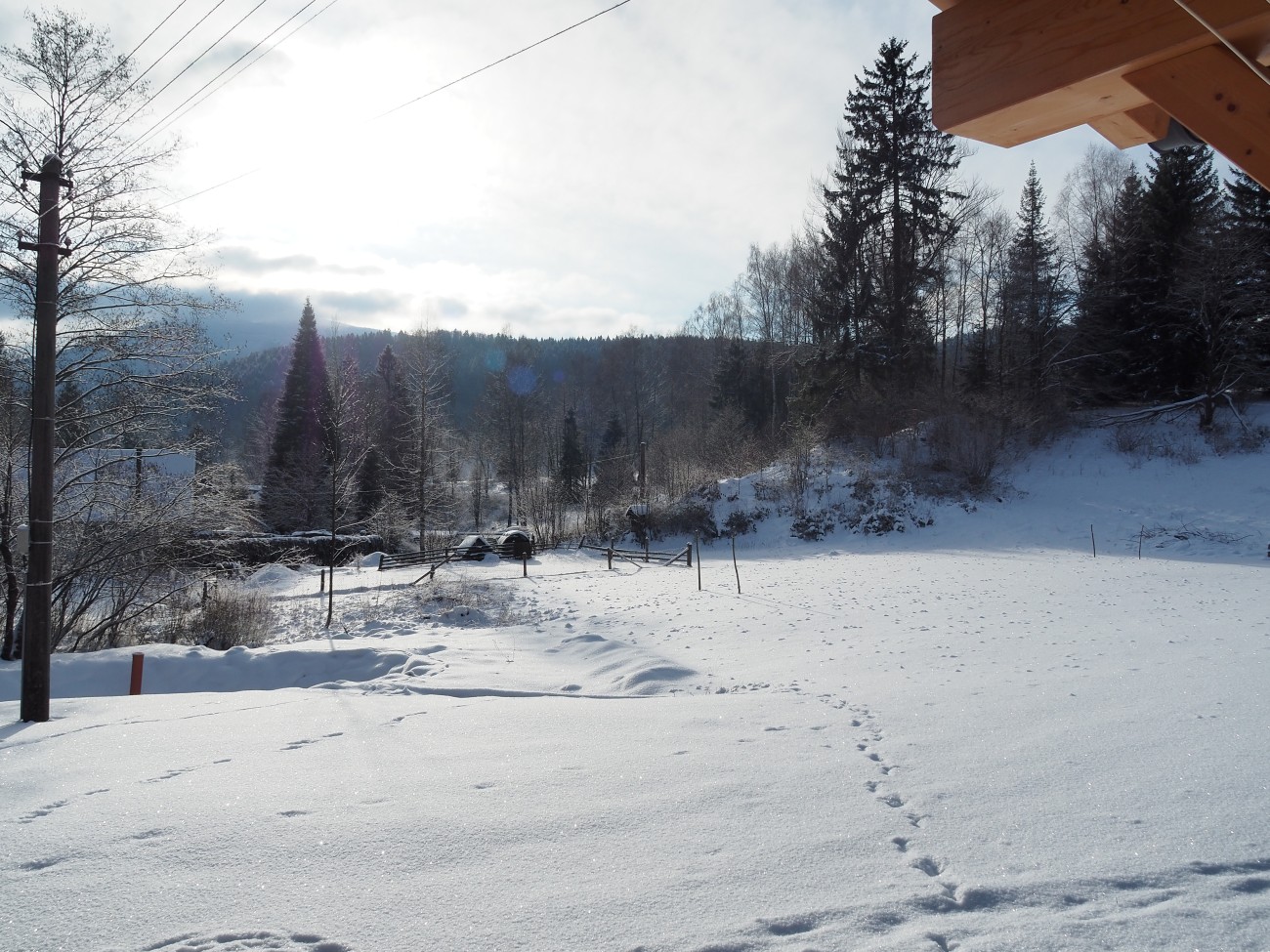 The Garden looking to the left.